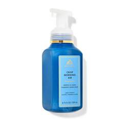 Crisp Morning Air Gentle & Clean Foaming Hand Soap 259mL