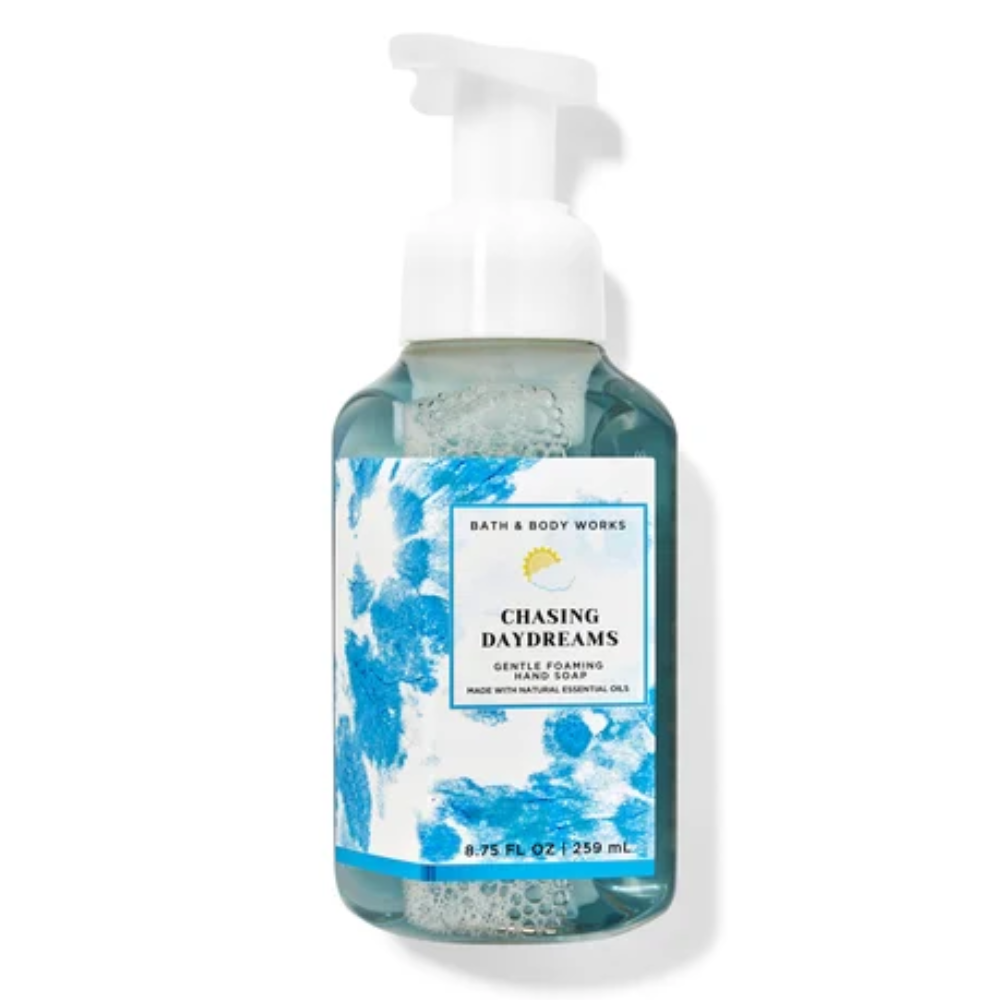 Chasing Daydreams Gentle Foaming Hand Soap 259mL
