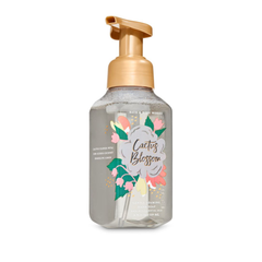 Cactus Blossom Gentle Foaming Hand Soap 259 mL