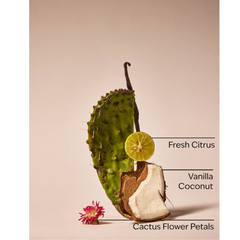 Cactus Blossom Gentle Foaming Hand Soap 259 mL