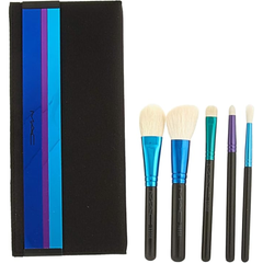 MAC Enchanted Eye Brush Kit Essentials & Brushes Bag 5 PCS